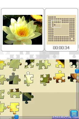 Snapshot